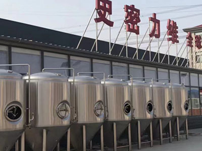 扶沟精酿啤酒设备厂—市场规模与跨界新需求